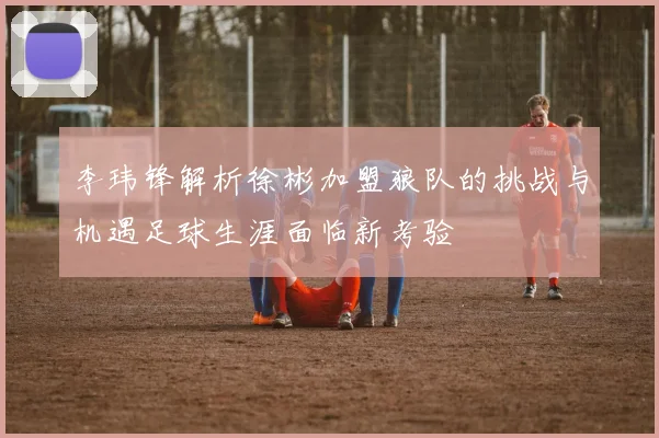 李玮锋解析徐彬加盟狼队的挑战与机遇足球生涯面临新考验