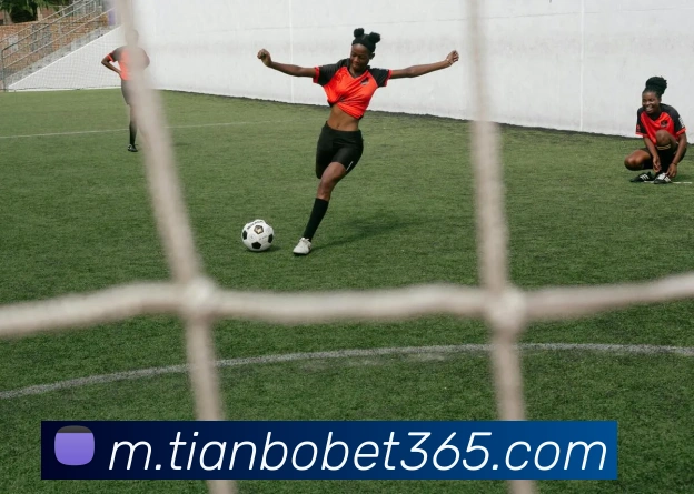 天博体育发展历程