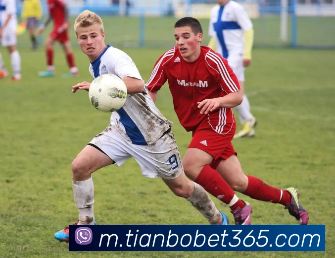 拓媒：比赛最后6分钟克林根替补上场能否守住领先优势24分